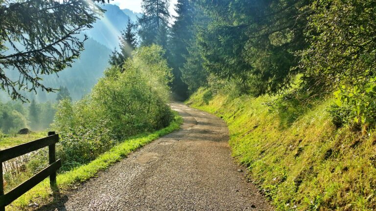 Tratto in discesa fino a Soraga dopo l'Alpe Lusia